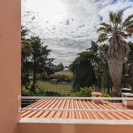 Hidden Garden Near The Castle Villa Obidos Exterior photo