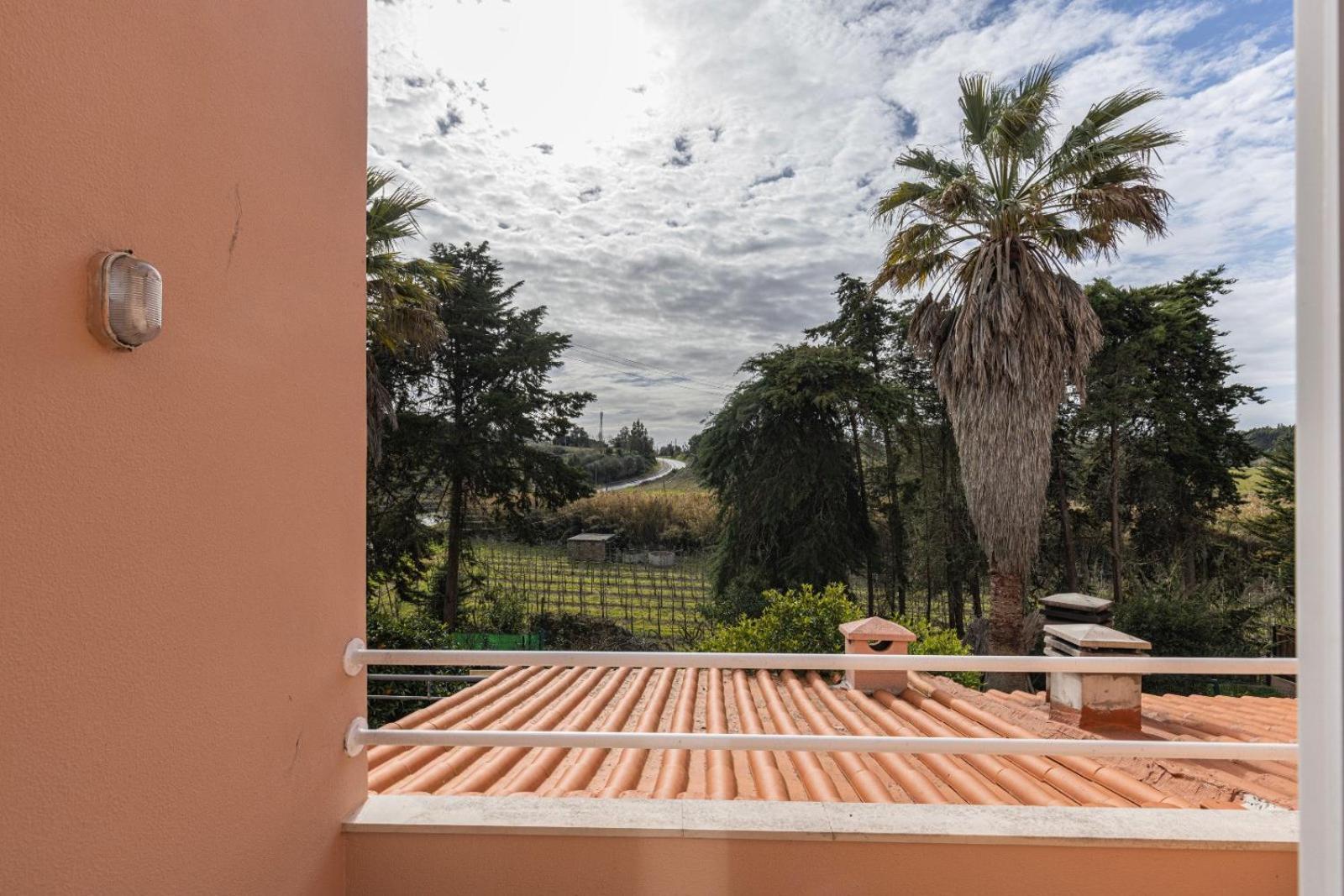 Hidden Garden Near The Castle Villa Obidos Exterior photo